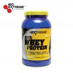 100% WHEY PROTEIN